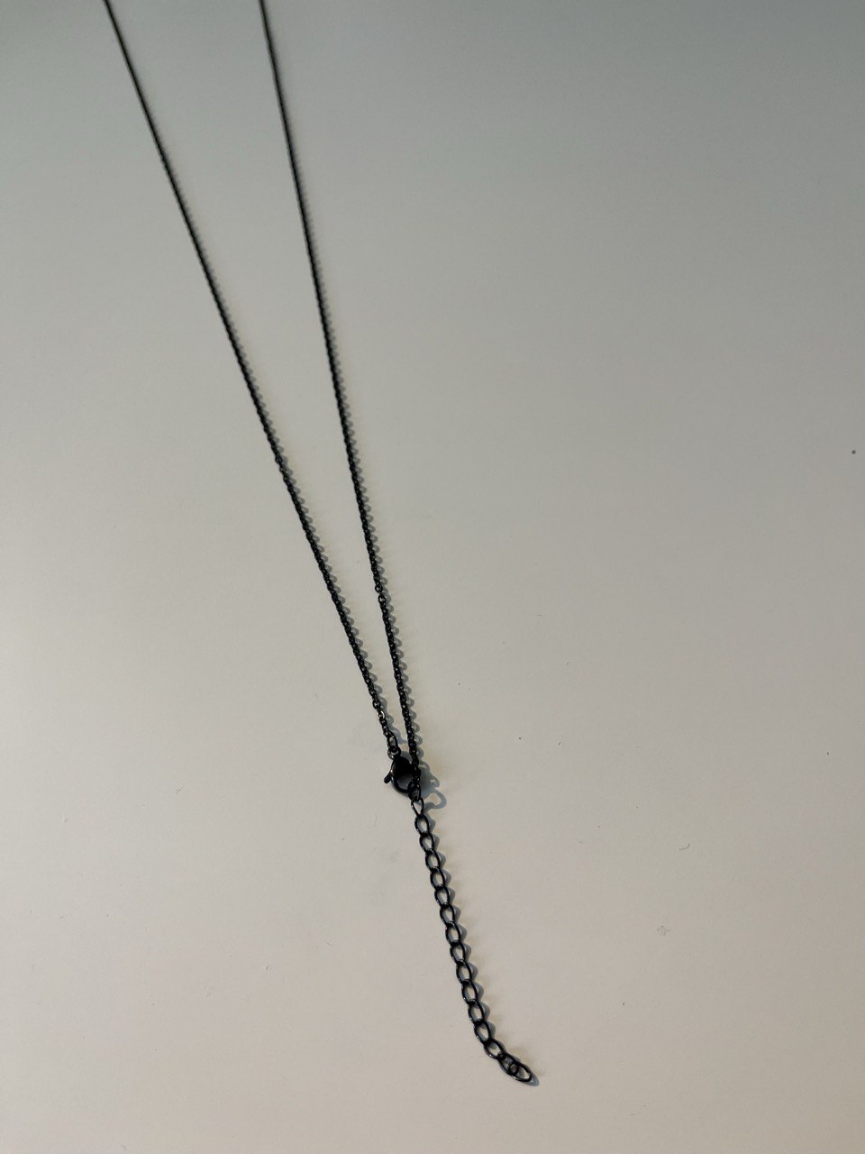 Extended Chain - 25'