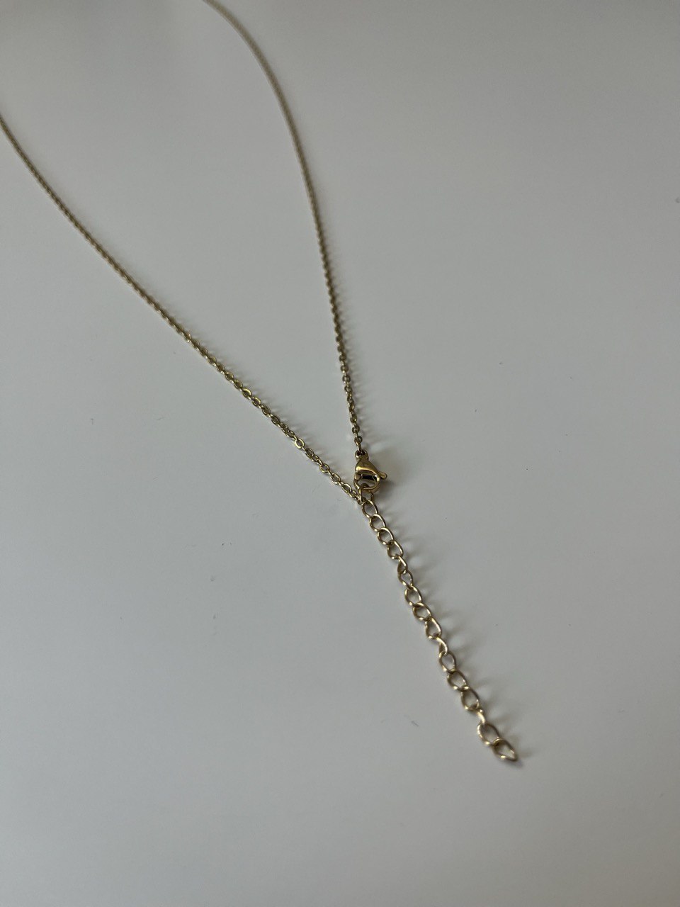 Extended Chain - 25'
