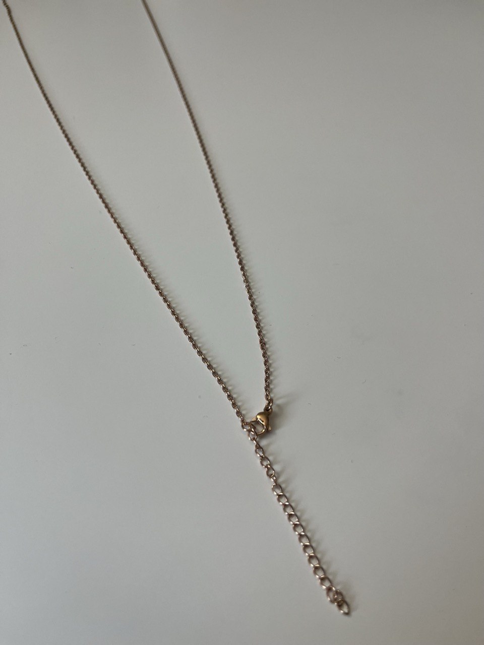 Extended Chain - 25'