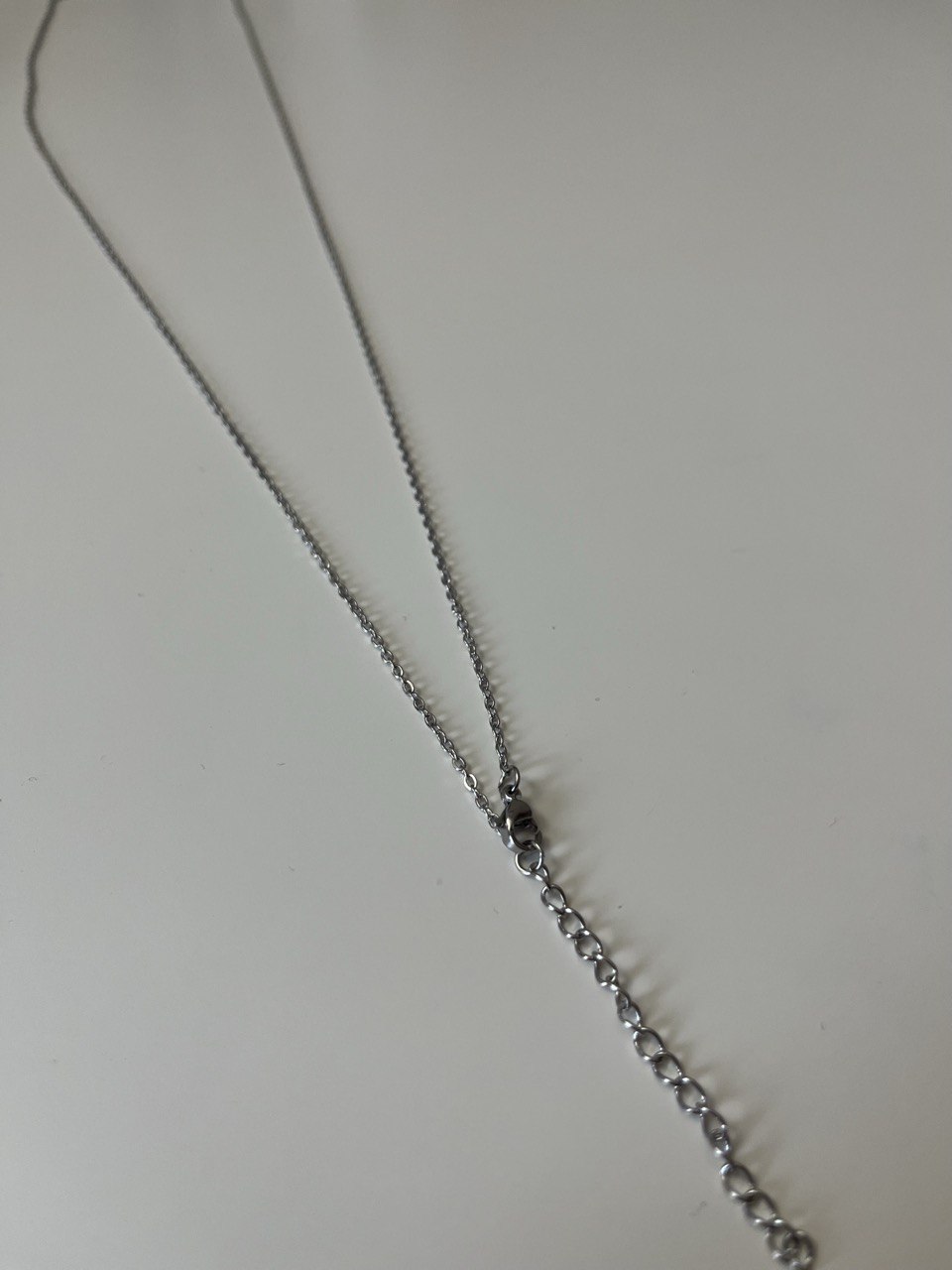Extended Chain - 25'